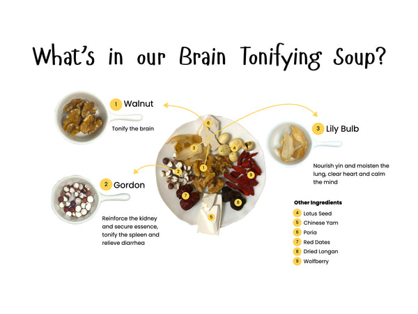 The Foodiepedia Kid’s TCM Herbal Soup - Brain Tonifying Soup 补脑汤